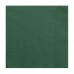 Galda salvetes, 2 slāņi, 33x33 cm, zaļas, 8 pac. x 250 loksnes